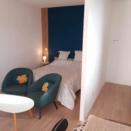 Lumineux Renove Apartment