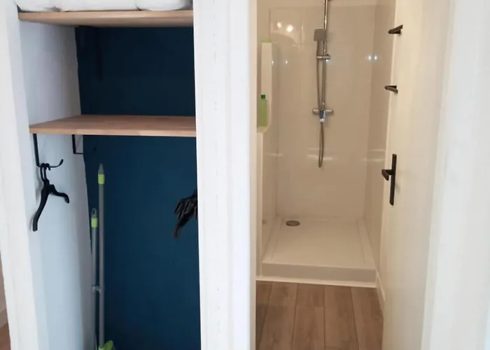 Apartment Lumineux Renove