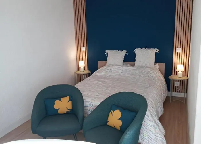 Apartment Lumineux Renove