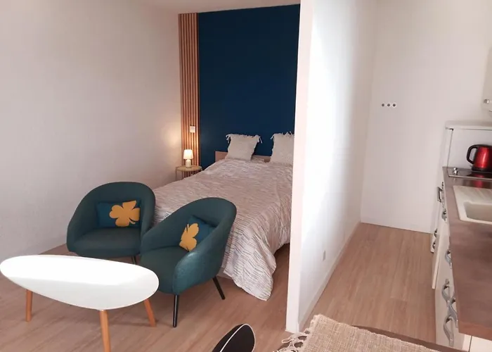 Lumineux Renove Apartment